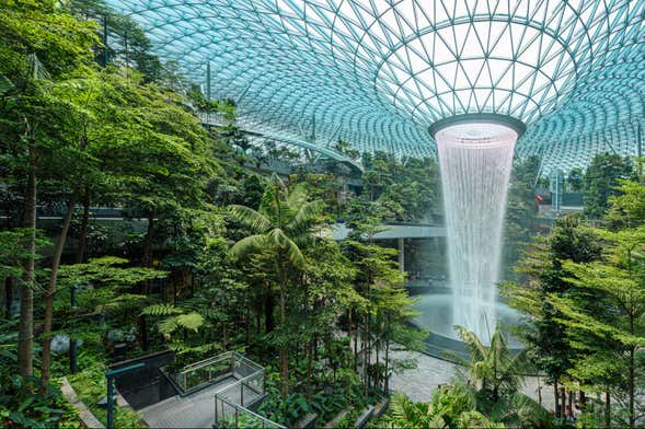 Billet pour le Canopy Park de l'aéroport de Singapour