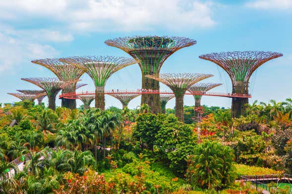 Billet pour les Gardens by the Bay